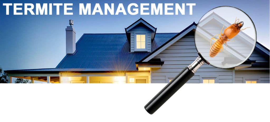 Building And Pest Inspection Coolangatta