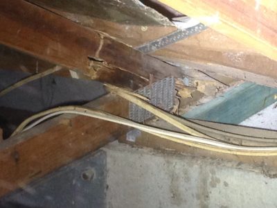 Termite Protection