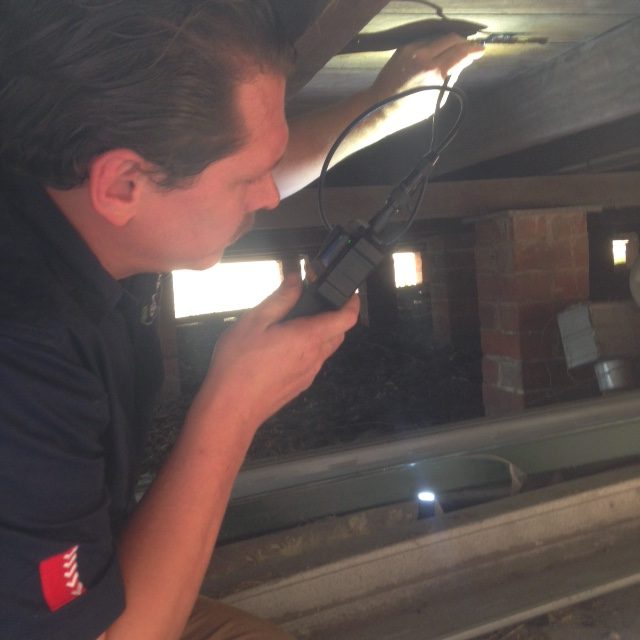 Building and pest inspection