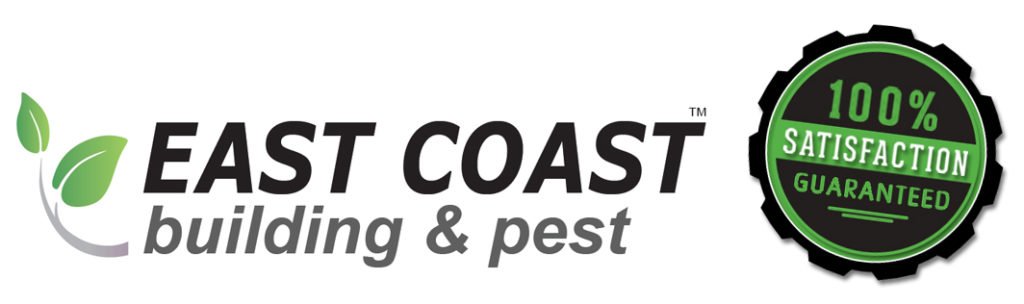 Termite inspection Gold Coast 