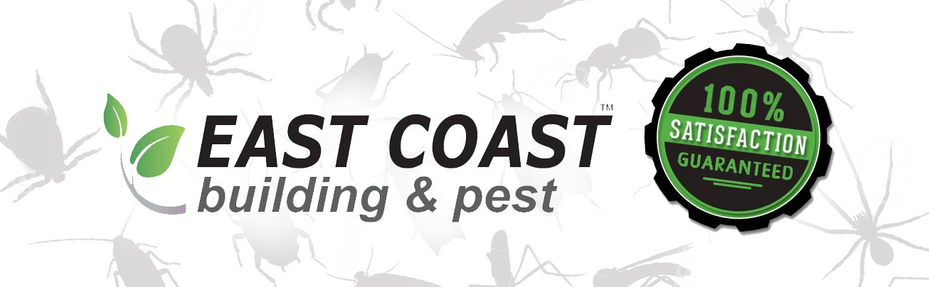 Pest Control Coomera Gold Coast Pest Services