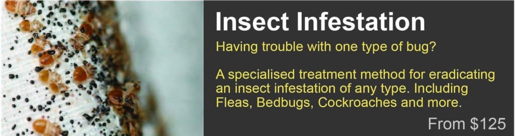 Insect Infestation Treatment