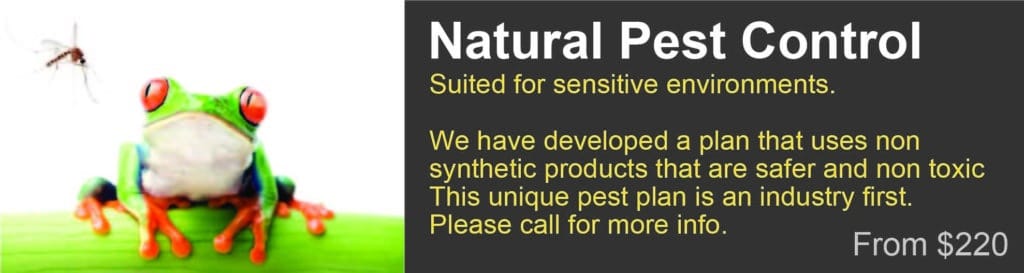 Pest Control Oxenford