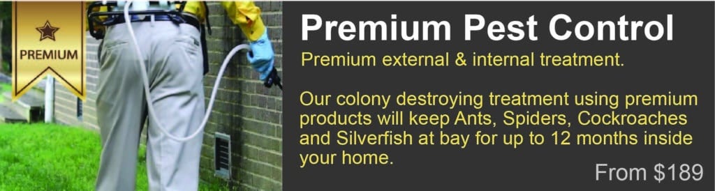 Premium Pest Control Information