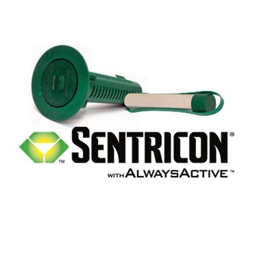 Termite baiting system Gold Coast