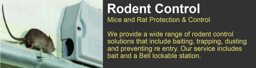 Pest Control Gold Coast