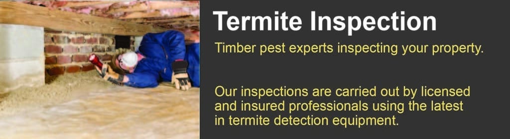 Pest Control Tamborine Mountain