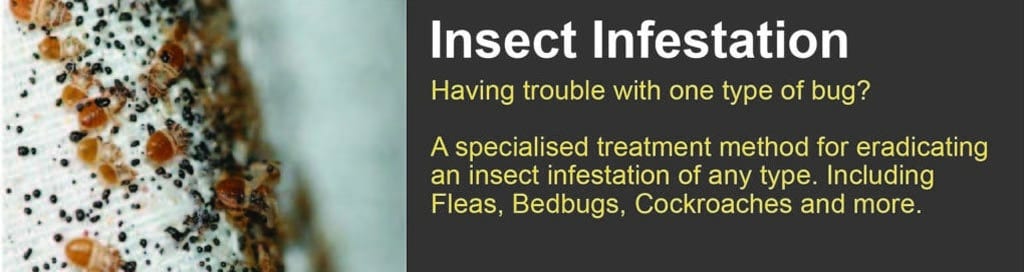 pest control Gold Coast