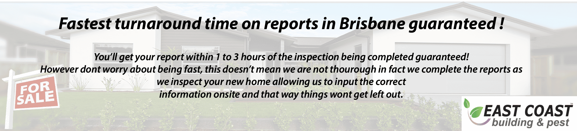 building and pest inspection Beaudesert